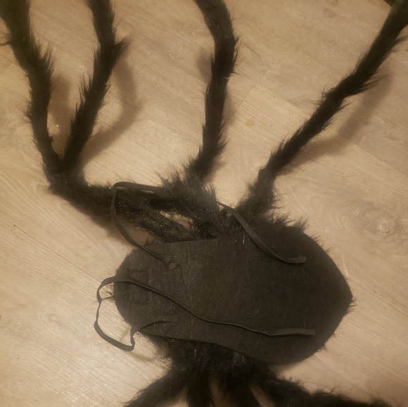 SPIDER COSTUME FOR DOGGO!! - Picture 10 of 11
